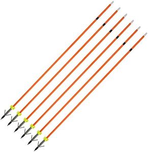 AMEYXGS 6/12pcs Archery Fiberglass Bowfishing Arrow Bow Fishing Arrows with Broadheads and Safty Slides for Compound and Bow Recurve Bow Fishing Hunting … (6 Pcs)