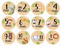 SVM CRAFT® Baby Monthly Milestone Cards – 12 Pieces Wooden Baby Milestone Cards Boho Rainbow front Sided Printed Milestone Discs Wood Gift Photo Prop Discs Sets Birth Announcement Sign Newborn Photo Props