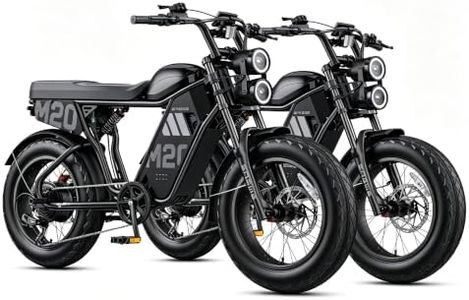 ENGWE M20 