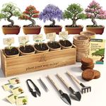Planter's Choice Bonsai Tree Starte