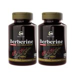 SUGAR KNOCKER Sushrut Ayurved Industries Berberine Advanced 500Mg Vegetarian Capsules - Made With Berberine Hcl (95%), Banaba (2%), Piperine (95%), And Cinnamon (Pack Of 2)