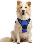 rabbitgoo Dog Harness No Pull with 