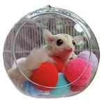 Sugar Glider Toy Sugar Glider Tooth Toy Sugar Glider Ocean Ball Sugar Glider Swing Nest (70 Rainbow Balls)
