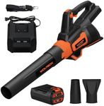 WOLFBOX MT700 60V Cordless Leaf Blower, 700 CFM & 160 MPH, Large Yard