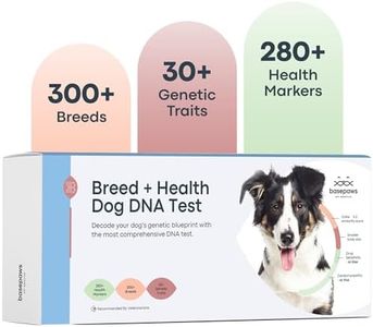 Basepaws Dog DNA Testing Kit - 300+ Breeds, 280+ Health Risks, and 30+ Traits - Comprehensive Health, Trait, and Mixed Breed Identification, Dog DNA Test kit, Test Dogs Genetic Ancestry and Heritage