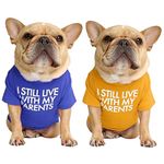 KUTKUT 2 Pcs Dog Breathable Stretchy Round Neck T-shirt I Still Live With My Parents Pet Puppy Cats Dog Cooling Vest T-shirts Soft Cotton Clothes | Pug, French Bulldog Dog Shirt (SIZE: XL, Chest: 53cm)