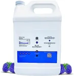 Dolce Flav Blue Raspberry Extract - 1 Gallon Oil-Soluble Multipurpose Flavoring Ideal for Candy Making, Baking, Lip Balm, and Ice Cream - Perfect Kitchen Gift for Holidays