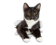 Winston & Bear Global Decals 3D Cat Stickers - 2 Pack - Resting Tuxedo Kitty Stickers for Wall, Fridge, Toilet and More - Retail Packaged Black and White Tuxedo Cat Stickers