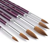 Artist Paint Brushes-Superior Sable Watercolour Brushes Round Point Tip Paint Brush Set for Watercolor Acrylic Painting Supplies