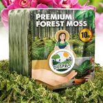 DUSPRO 10oz Dried Forest Moss for P