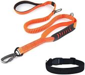 Misthis Bungee Dog Leash for Walking - 4-6FT Heavy Duty Dog Leash with Highly Reflective Threads and Buffer, with Car Seat Belt Buckle and Adjustable Dog Collar for Medium and Large Dogs（Orange）