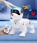 HAPPY CHAPPIE Interactive Smart Robot Dog Toy with Remote Control, Touch Sensor, LED Eyes, Music & Dance, Programmable Actions, Rechargeable Electronic Pet Toy for Kids Boys & Girls (3+ Years)
