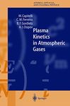 Plasma Kinetics in Atmospheric Gases: 31 (Springer Series on Atomic, Optical, and Plasma Physics, 31)