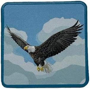 MORNIE Design Morale Patches with Hook and Loop Backing, Removable Embossed Appliques for Hats, Beanies, Backpacks and Jackets (Sky Hunter)