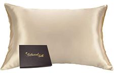 (Standard, Taupe) - 100% Silk Pillowcase for Hair Zippered Luxury 25 Momme Mulberry Silk Charmeuse Silk on Both Sides of Cover -Gift Wrapped- (Standard, Taupe)