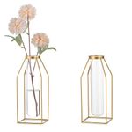 Sziqiqi Glass Propagation Station With Metal Frame - Gold Modern Flower Vase Set of 2 Clear Tube Vase for Plants Minimalistic Wire Square Vase for Room Decor Office Wedding Table Decoration