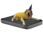 Serta Orthopedic Dog Beds