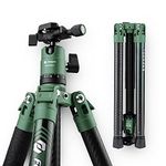 Fotopro 64 Inch Carbon Fiber Camera Tripod with Monopod 360 Ball Head 1/4 Quick Release Plate Lightweight Professional Tripod for DSLR Canon Nikon Sony Foldable Size 14.2 Inch Max Loads Up 12kg Green