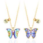 Best Friend Necklace - Friendship Necklace Butterfly Cute Necklaces, Matching Bff Necklace for 2 Girls | Best Friend Jewellery Gifts for Women Friendship Birthday Gifts Christmas with Card, Purple