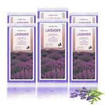 Paraffin Wax Refills 6LB/2.7KG for Hands and Feet, Paraffin Wax Blocks Foot Treatment for Paraffin Wax Machine, Hydration and Moisturizing Dry Skin-Lavender Scent, 6 Pack