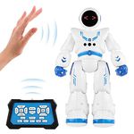 Interactive Robotic Toys