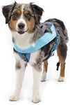 Kurgo Long Haul Joring Canicross Harness, Weight Pull Dog Harness for Canicross, Skijoring, & Bikejoring (Small)