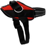 ShawnCo Essential Dog Harness, No-P