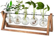 CFMOUR Plant Terrarium with Wooden Stand, Desktop Propagation Stations Glass Air Planter Metal Swivel Holder for Indoor Live Hydroponics Plants Office Home Garden Decor (5 Bulb Vase)