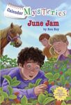 Calendar Mysteries #6: June Jam (A Stepping Stone Book(TM))