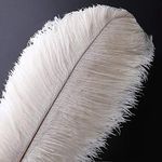 10 Pcs Natural Ostrich Feather Craft Plume - 14-16inch(35-40cm) For Wedding Centerpieces Home Decoration (White)