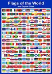 Wisdom Learning Flags of The World Poster - Countries Wall Chart Educational Childrens Childs Poster Art Print WallChart world flags